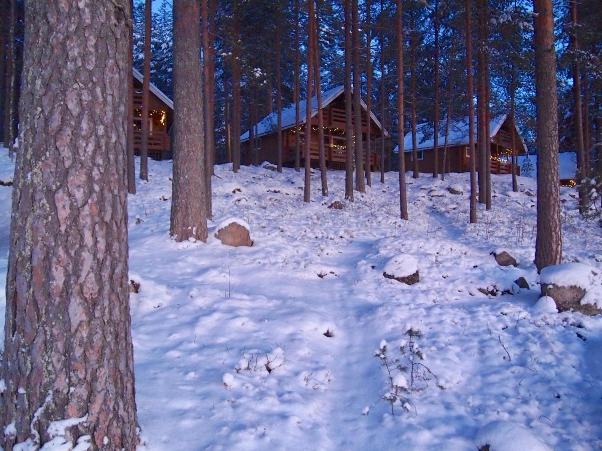 Вилла Koskenselaen Lomakylae Пуумала Экстерьер фото